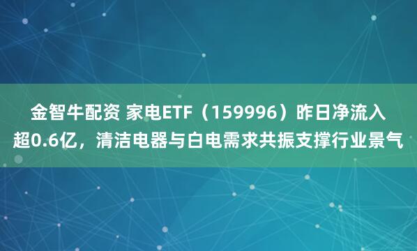 金智牛配资 家电ETF（159996）昨日净流入超0.6亿，清洁电器与白电需求共振支撑行业景气
