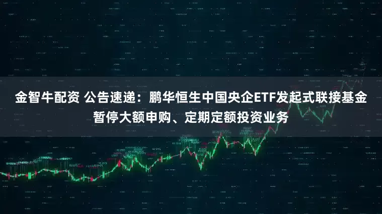 金智牛配资 公告速递：鹏华恒生中国央企ETF发起式联接基金暂停大额申购、定期定额投资业务
