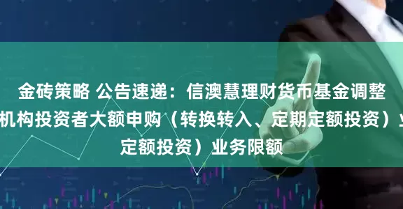金砖策略 公告速递：信澳慧理财货币基金调整C类份额机构投资者大额申购（转换转入、定期定额投资）业务限额