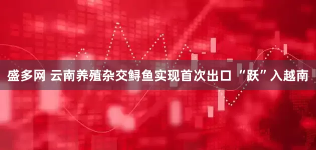 盛多网 云南养殖杂交鲟鱼实现首次出口 “跃”入越南