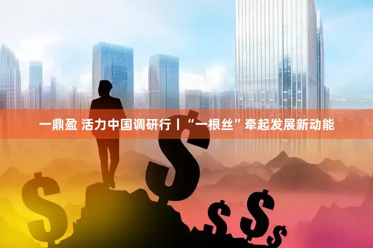 一鼎盈 活力中国调研行丨“一根丝”牵起发展新动能
