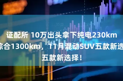 证配所 10万出头拿下纯电230km／综合1300km，11月混动SUV五款新选择！